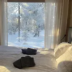 Wald - Aavasaksa, Lapland *