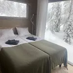 Wald - Aavasaksa, Lapland Aavasaksa