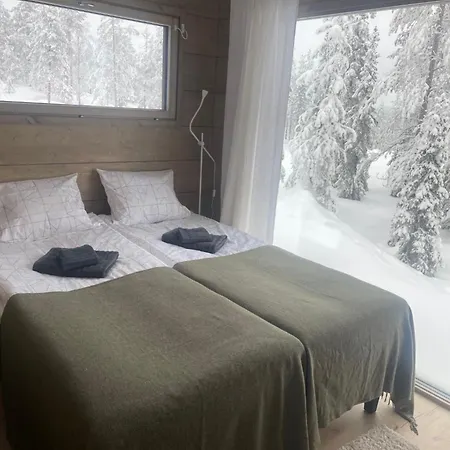 Wald - Aavasaksa, Lapland Aavasaksa