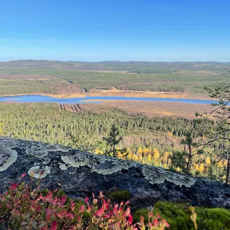 Wald - Aavasaksa, Lapland * Aavasaksa
