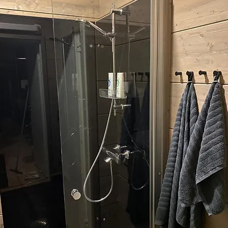 Wald - Aavasaksa, Lapland Aavasaksa